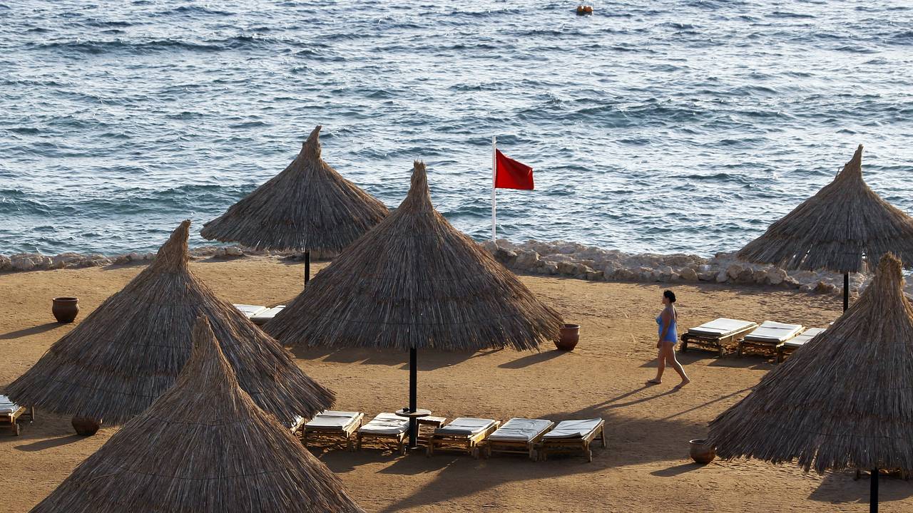 Стало известно об отсутствии россиян среди пострадавших от нападения акулы в Египте