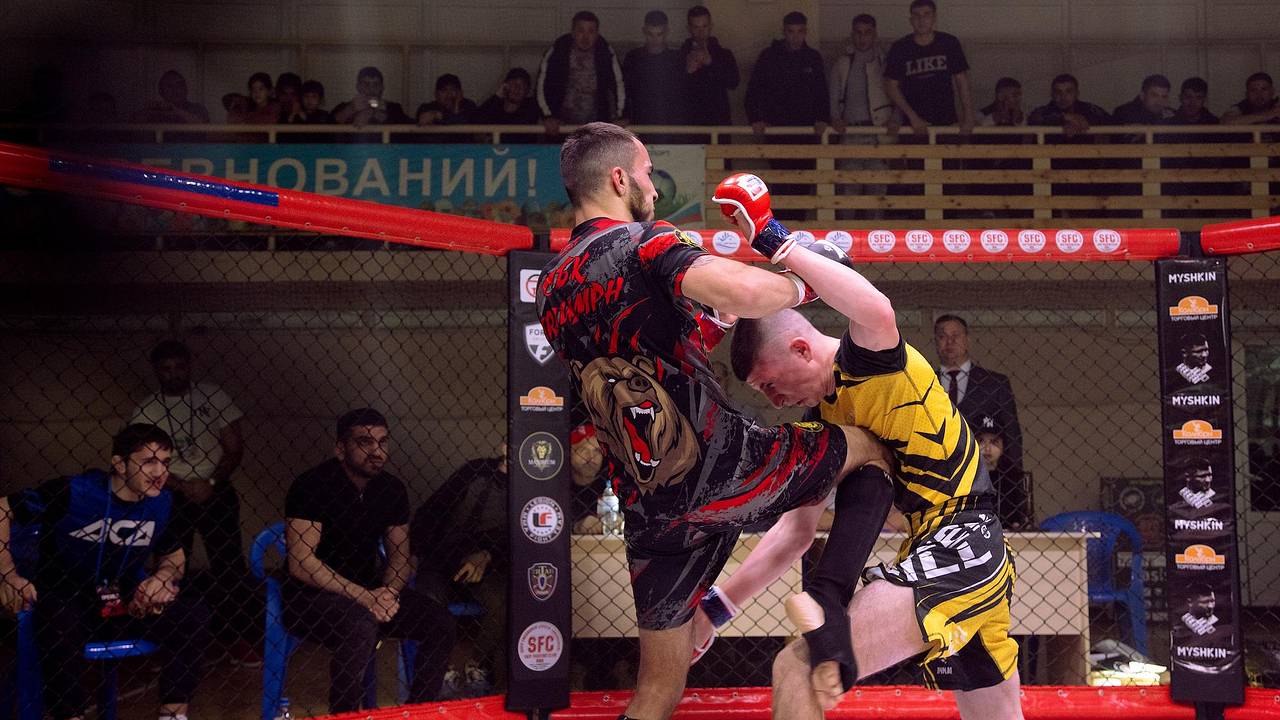 Россия завершила год на первом месте по числу чемпионов в топ-лигах ММА