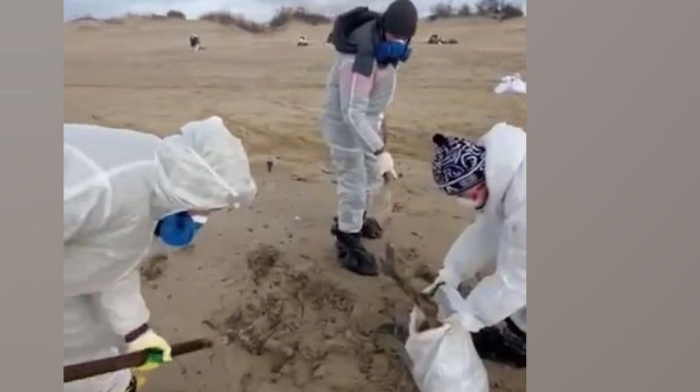 Как в Новый год очищали пляжи Кубани от выбросов мазута. Видео
