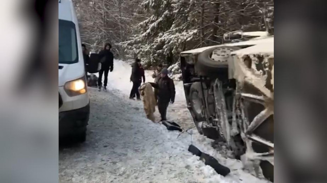 В Карелии семь человек пострадали в ДТП с туристическим автобусом