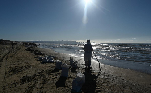 После крушения танкеров в море были найдены 32 погибших дельфина