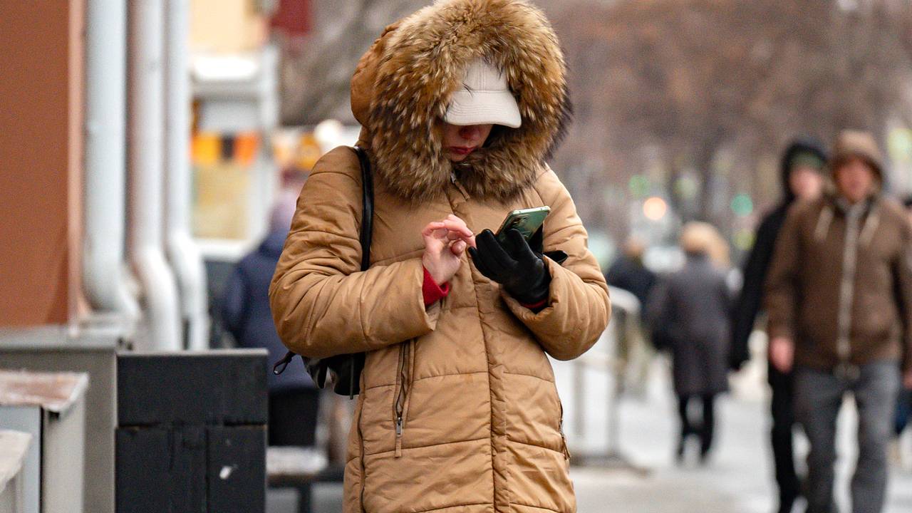 Роскомнадзор назвал причину массового сбоя в работе сервисов