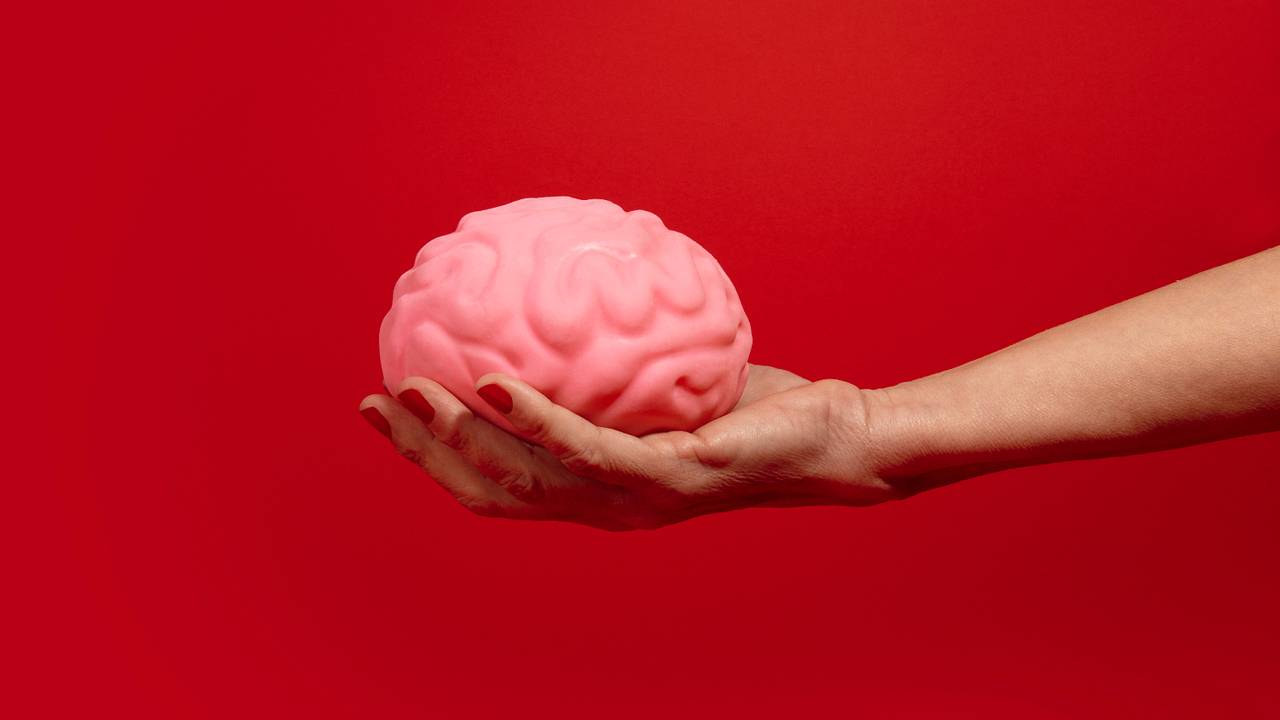 Россия заняла шестое место в мире по среднему уровню IQ