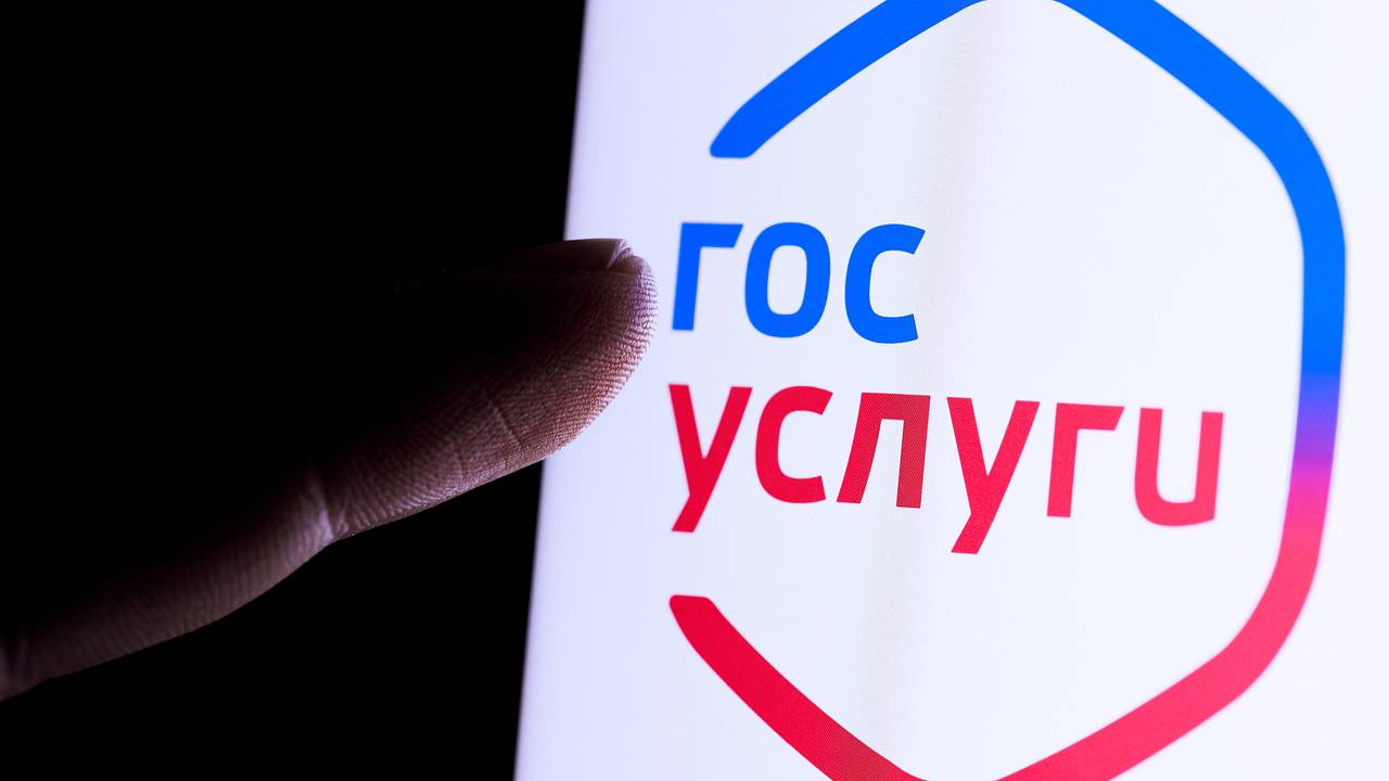 В МВД назвали основные схемы доступа мошенников к Госуслугам россиян