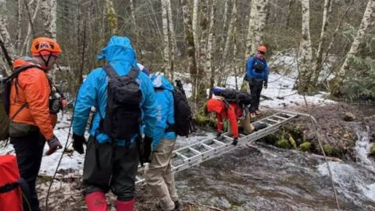 Охотников на легендарное чудовище нашли в чаще без признаков жизни