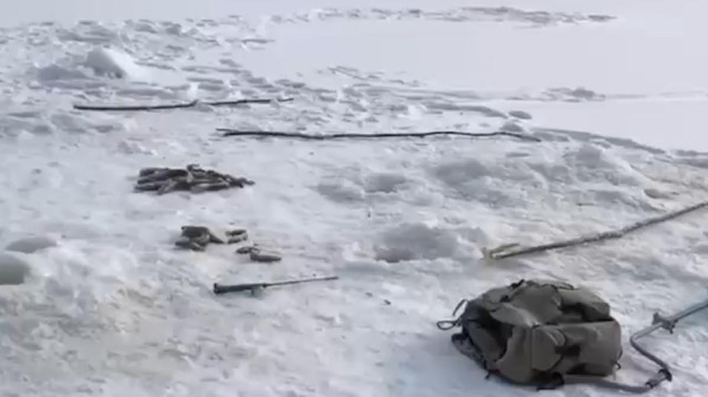 Напавшего в Приморье на рыбака тигра будут ловить с помощью ловушек