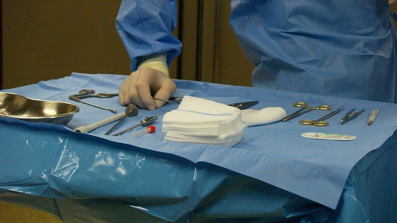 Пациентка с пересаженной свиной почкой установила рекорд продолжительности жизни