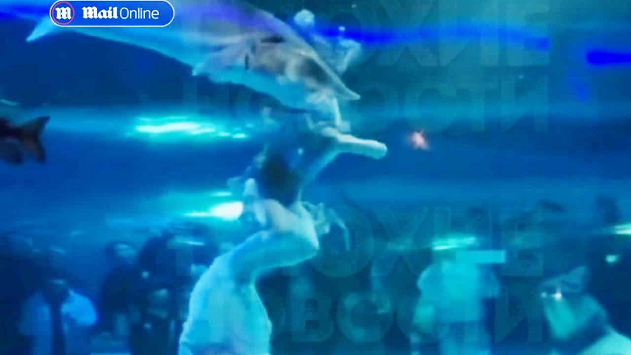 Нападение гигантской рыбы на русалку из России сняли на видео