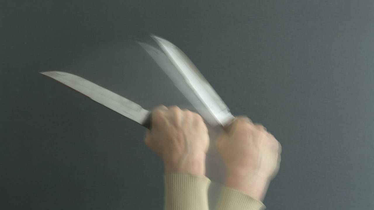 Пассажир поезда с двумя ножами напал на отказавшихся покидать купе попутчиков
