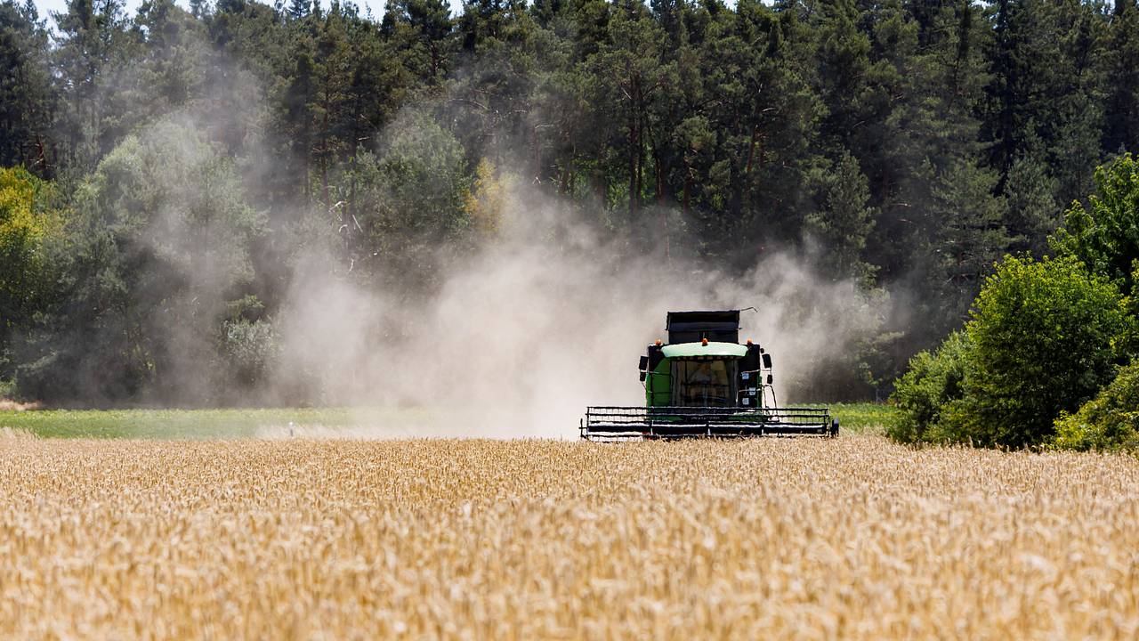 Европейцев предупредили о «тройном провале» из-за российских удобрений