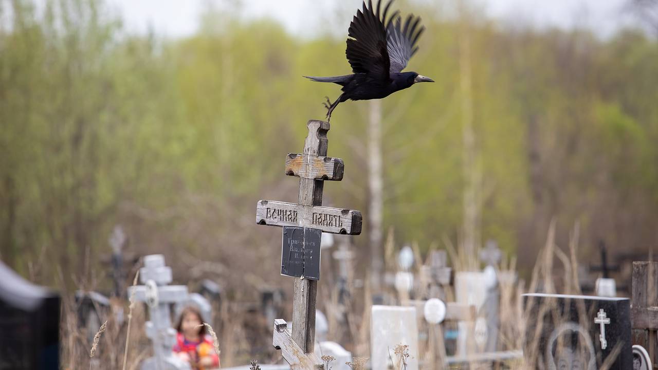 Московские кладбища закупили партию электросамокатов