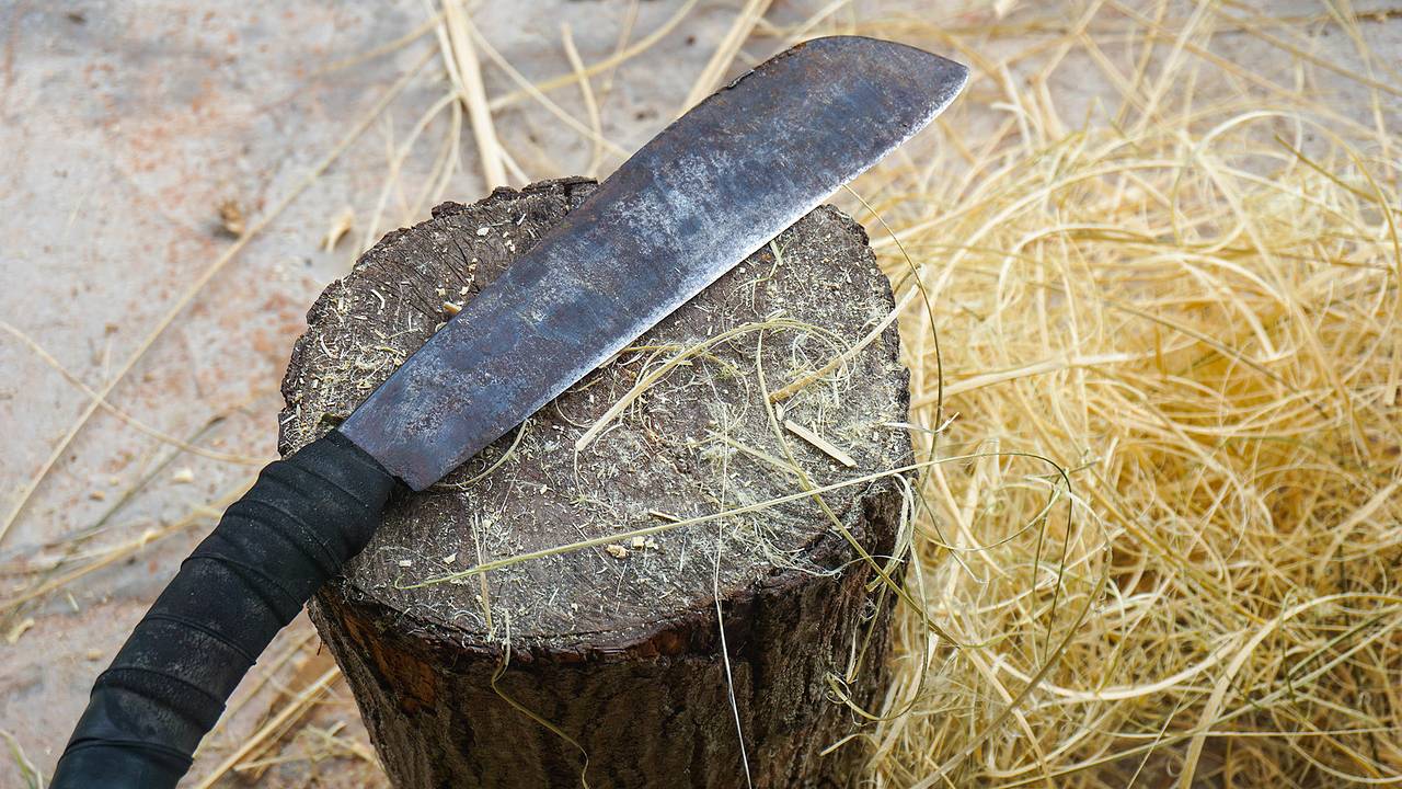 В Индии неизвестные с мачете напали на российских туристов