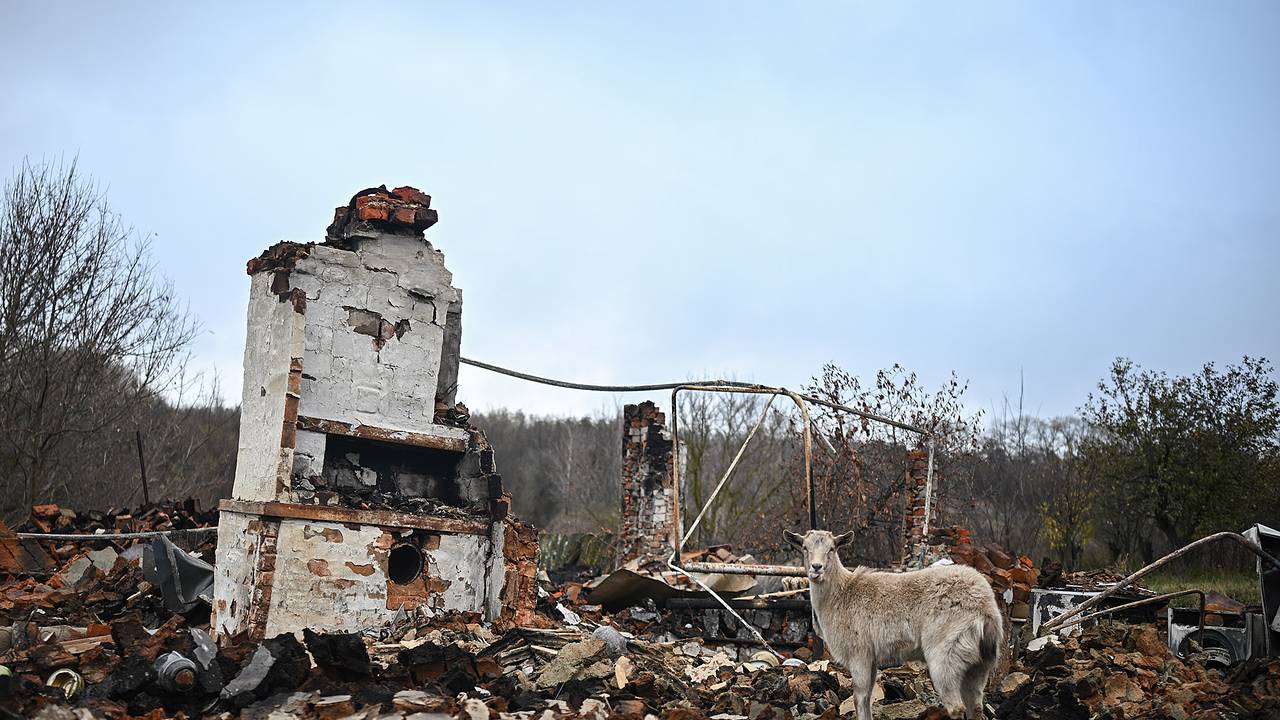 Захарова заявила о необходимости представить ООН характер деяний ВСУ в Курской области