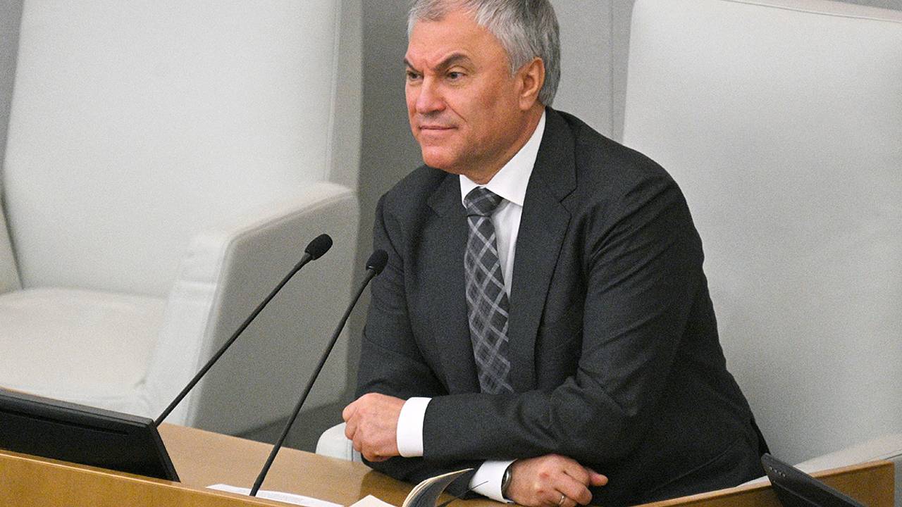 Володин заявил о планах посетить Индию