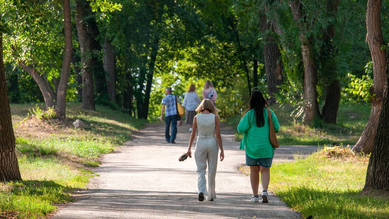 В Гидрометцентре рассказали о температурных прогнозах на 2025 год