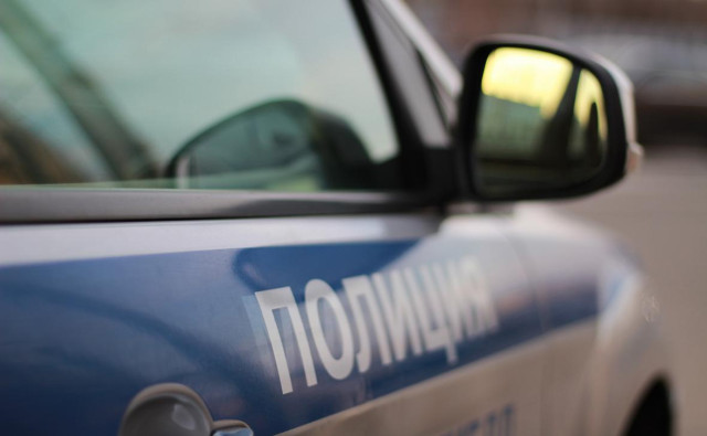 Мужчина после ссоры с девушкой сбросил ее чихуахуа с 14-го этажа