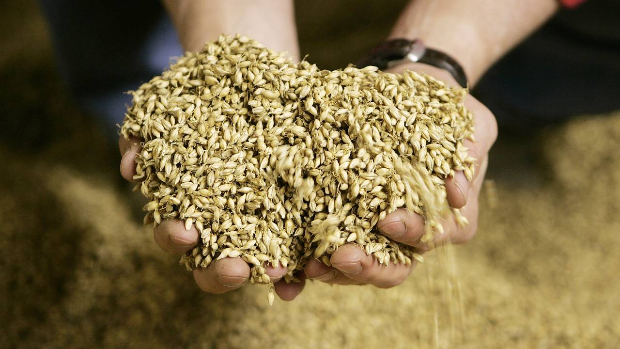 Южная Корея нарастила импорт одного российского товара в 130 раз