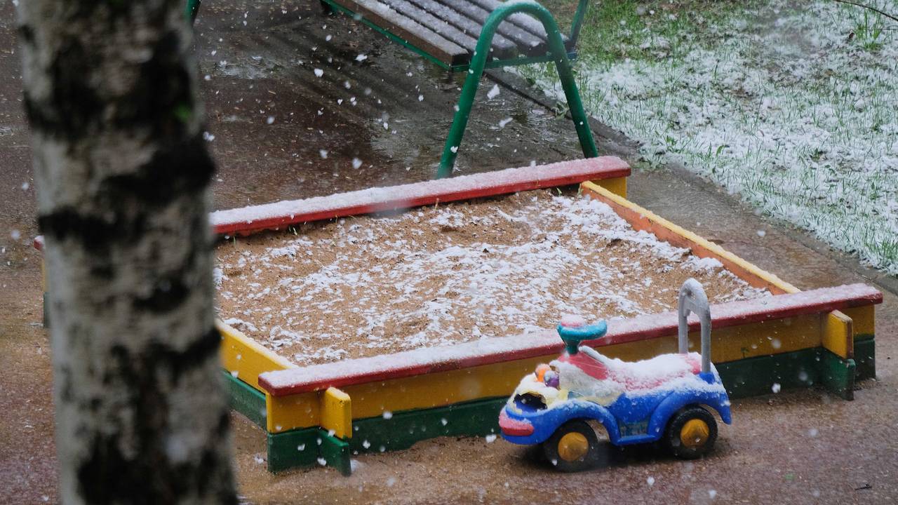 В российском городе детсадовцы сбежали во время прогулки