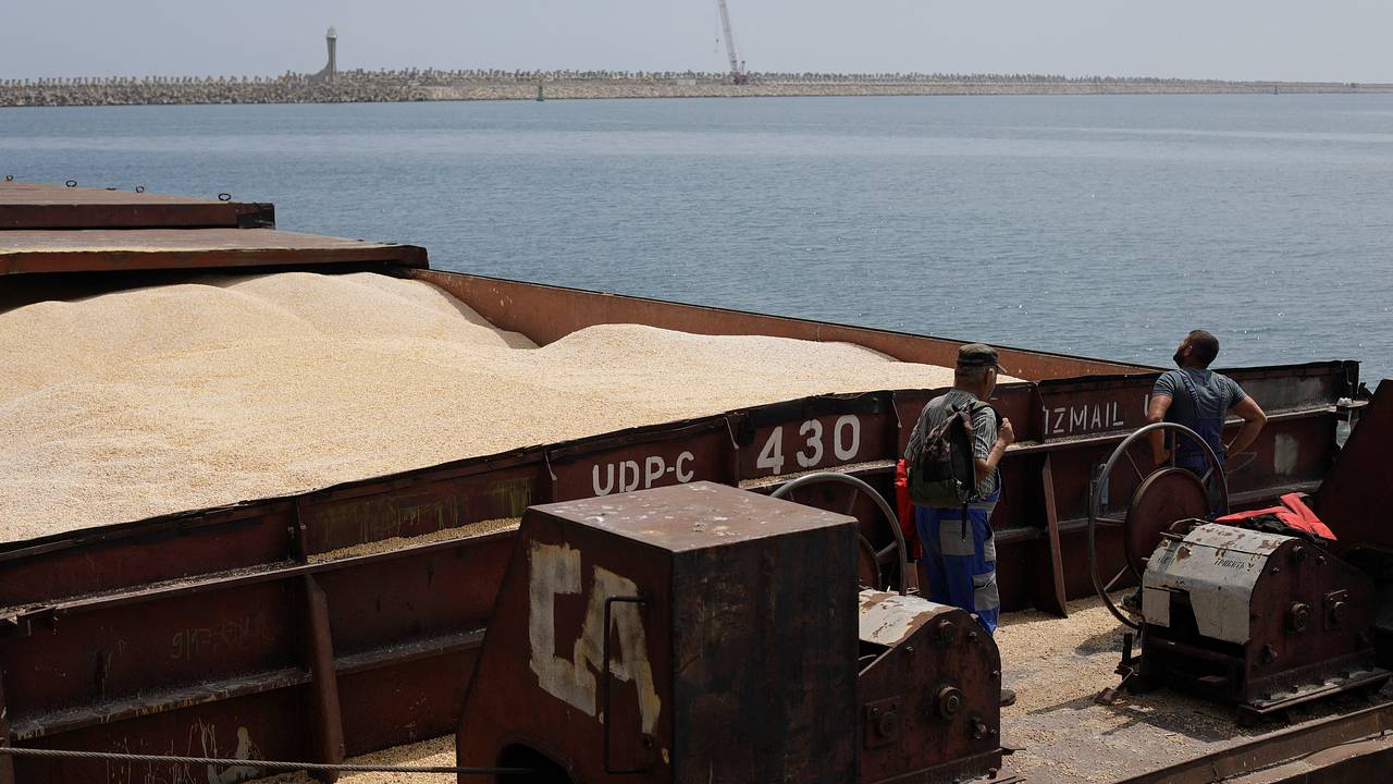 Одна страна оплатит поставки украинского зерна в Сирию