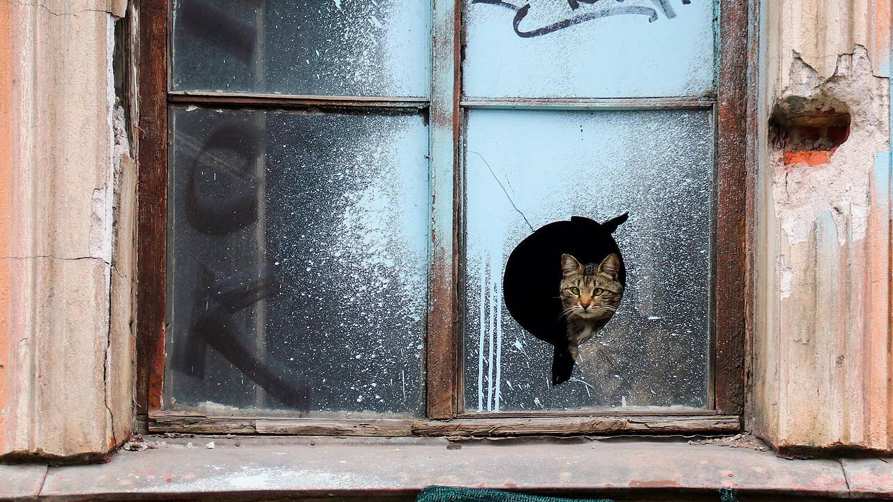 Жена бойца СВО пожаловалась на отсутствие помощи в расселении дома с износом 100 %