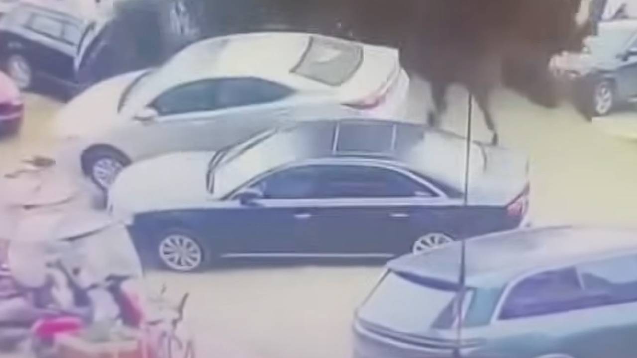 Ребенок перевернул автомобиль брошенной петардой