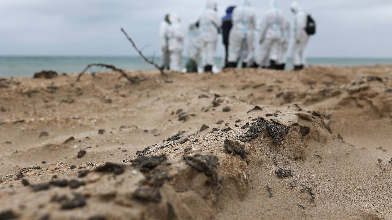 Новые выбросы мазута нашли в Крыму и на Кубани