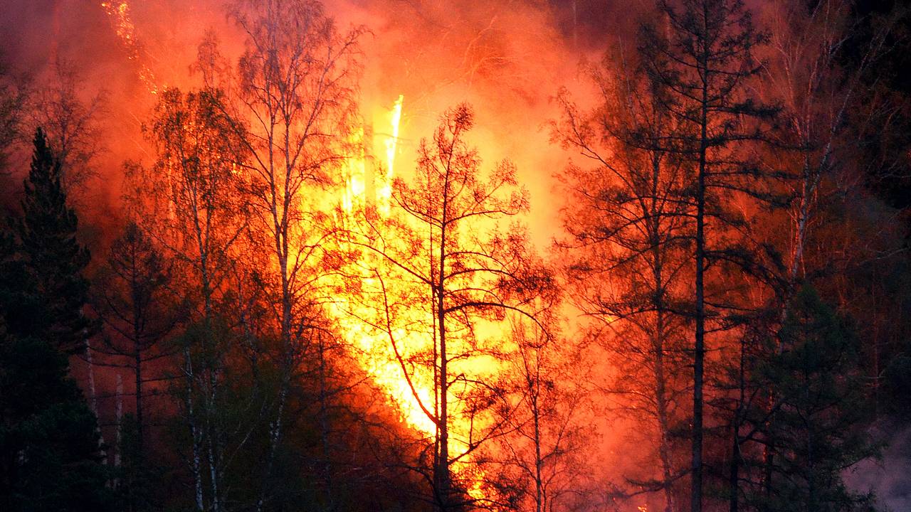 В европейской части России нашли предпосылки для сильных пожаров весной