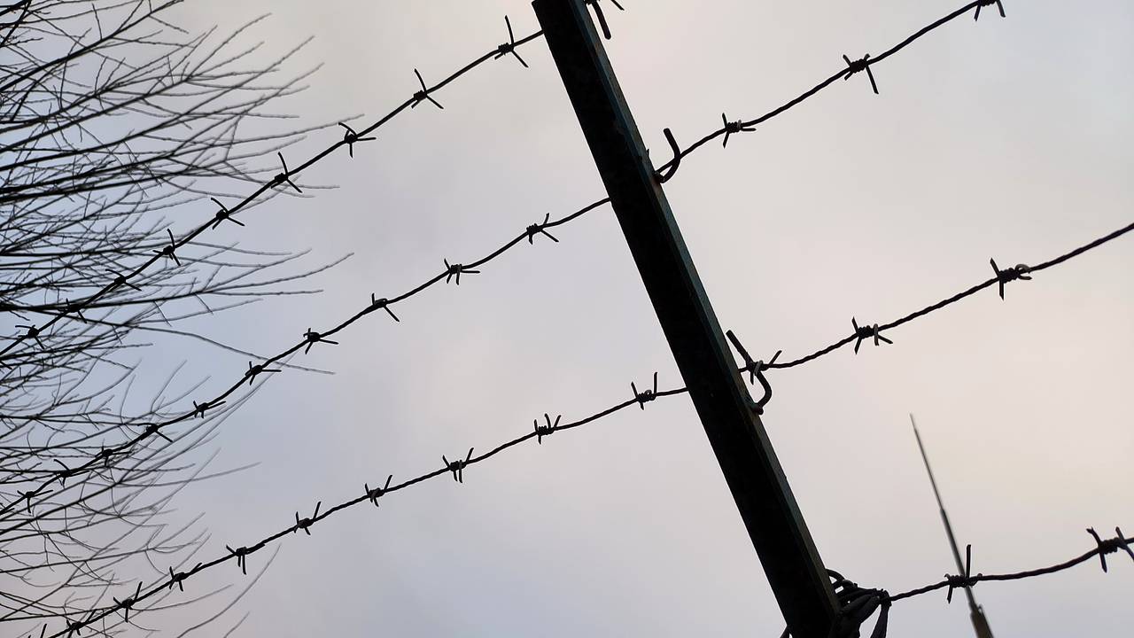 Троих жителей Петербурга арестовали за обман контрактников ВС России на сотни тысяч рублей