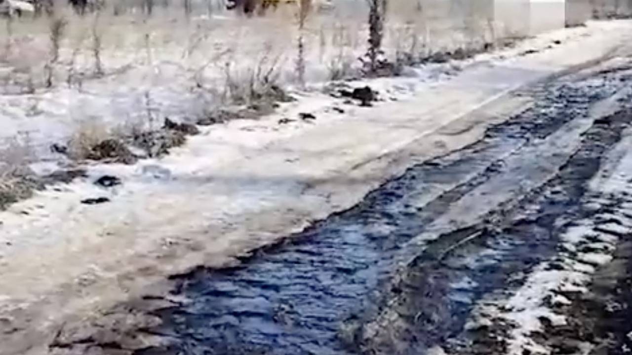 Разлив нефти в российском регионе попал на видео