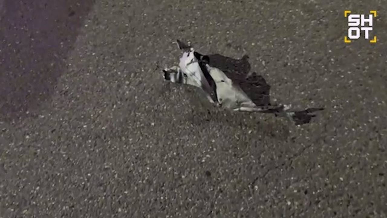 Упавшие обломки беспилотника у жилого дома в Краснодаре сняли на видео