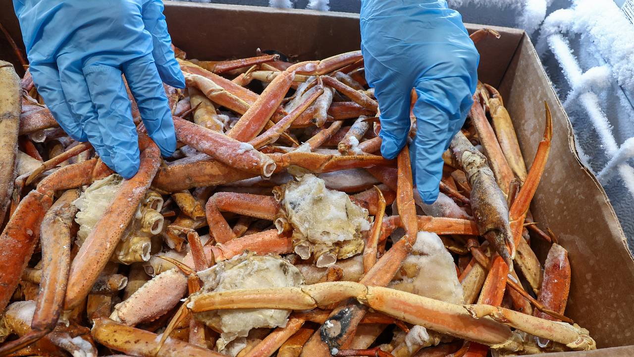 Трое россиян продали иностранцу несуществующие морепродукты