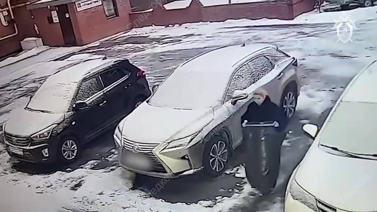 Раскрыты детали задержания внучки бывшего мэра Самары Тархова