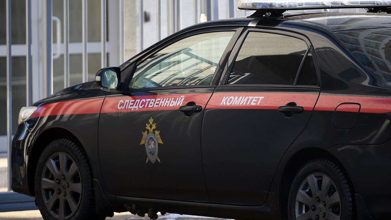 После избиения двумя россиянами полуголой девочки на камеру возбудили дело