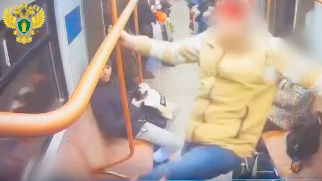 Пассажир московского метро избил ребенка в вагоне поезда и попал на видео
