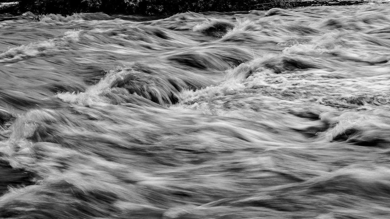 В реке Ленобласти зафиксировали превышение токсинов в тысячу раз