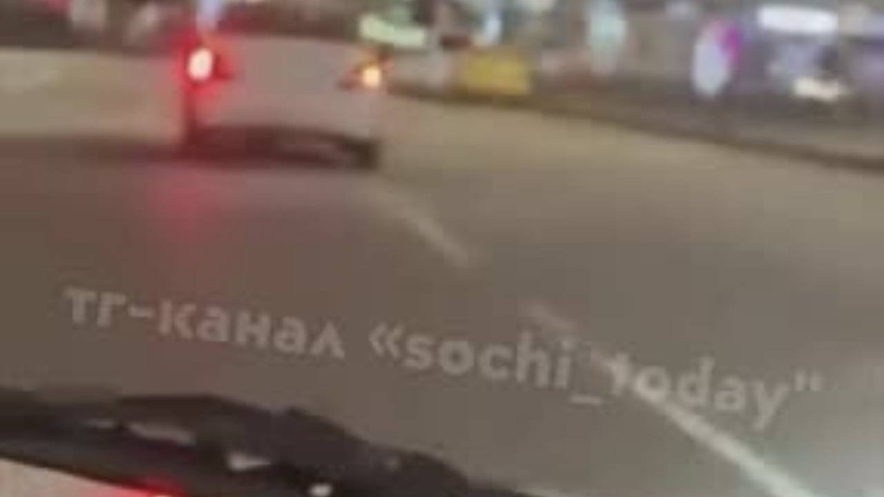 Любовные утехи российских енотов на крыше едущего такси попали на видео