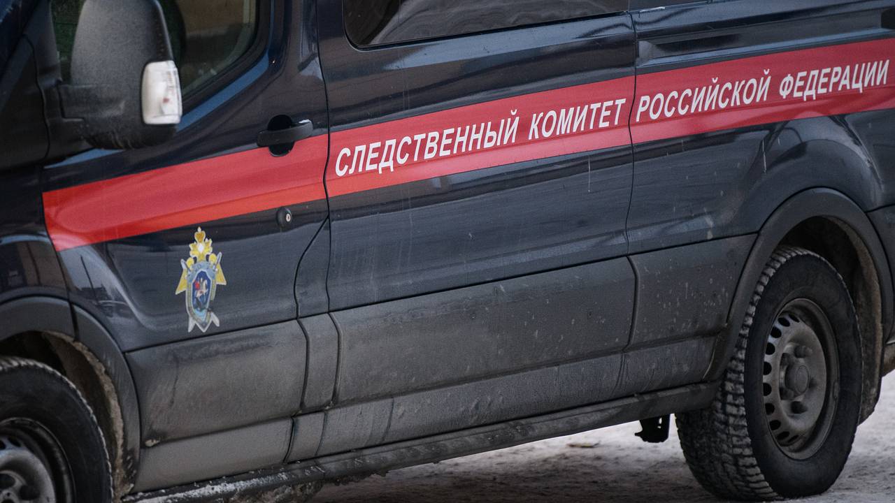 Стала известна причина отравления пирожками с ртутью россиянина