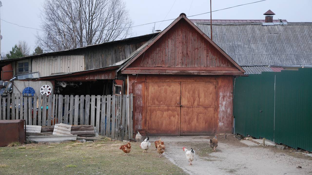 Дачникам назвали обязательные действия на участке перед началом весны