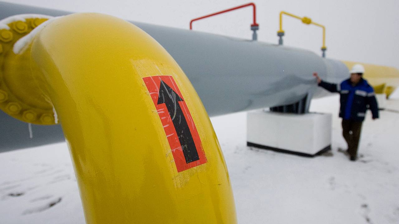 В Китае оценили вероятность отказа от российского газа