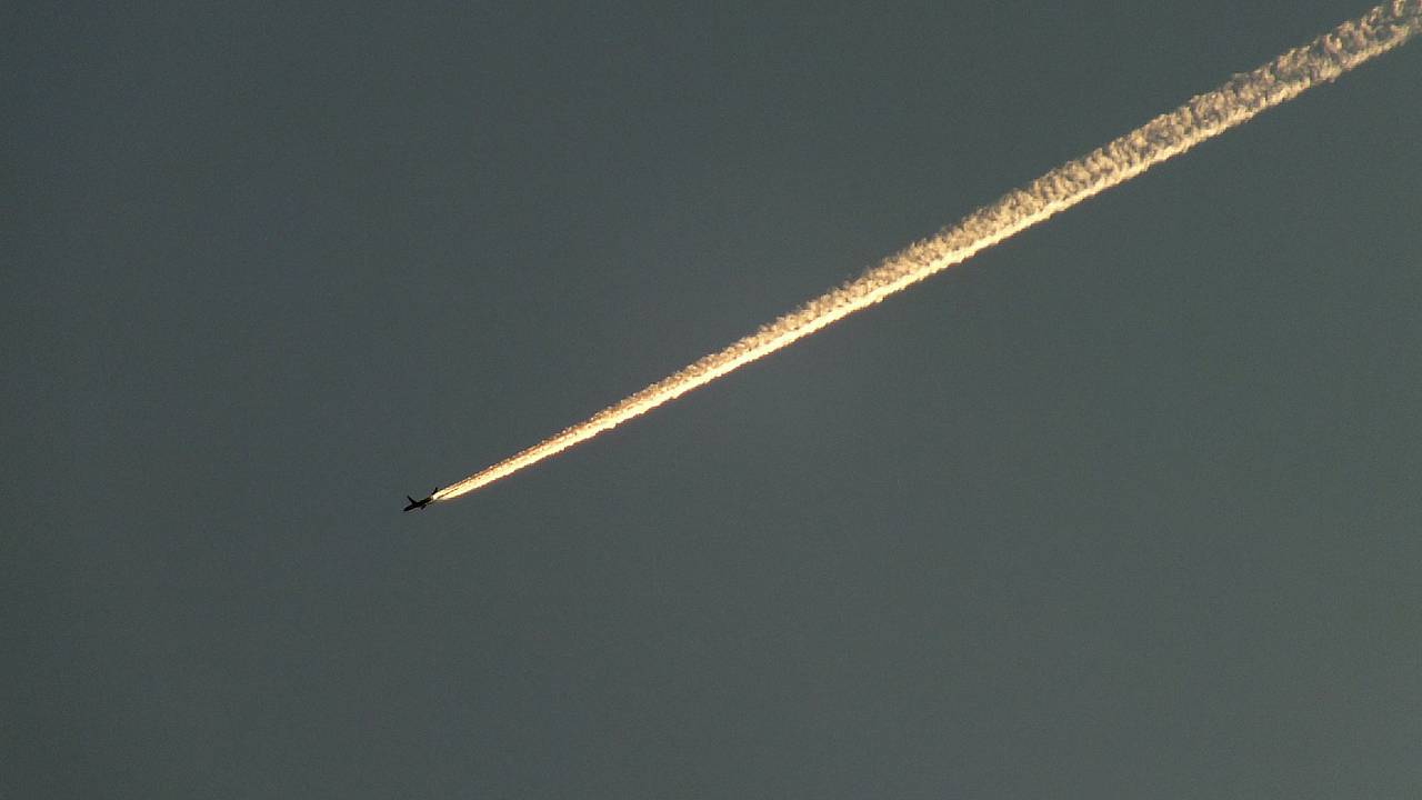 Стала известна дата прощания с погибшими в авиакатастрофе в США российскими тренерами