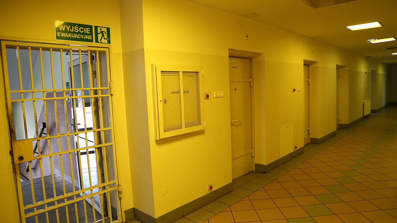 Более половины иностранцев в польских тюрьмах оказались украинцами