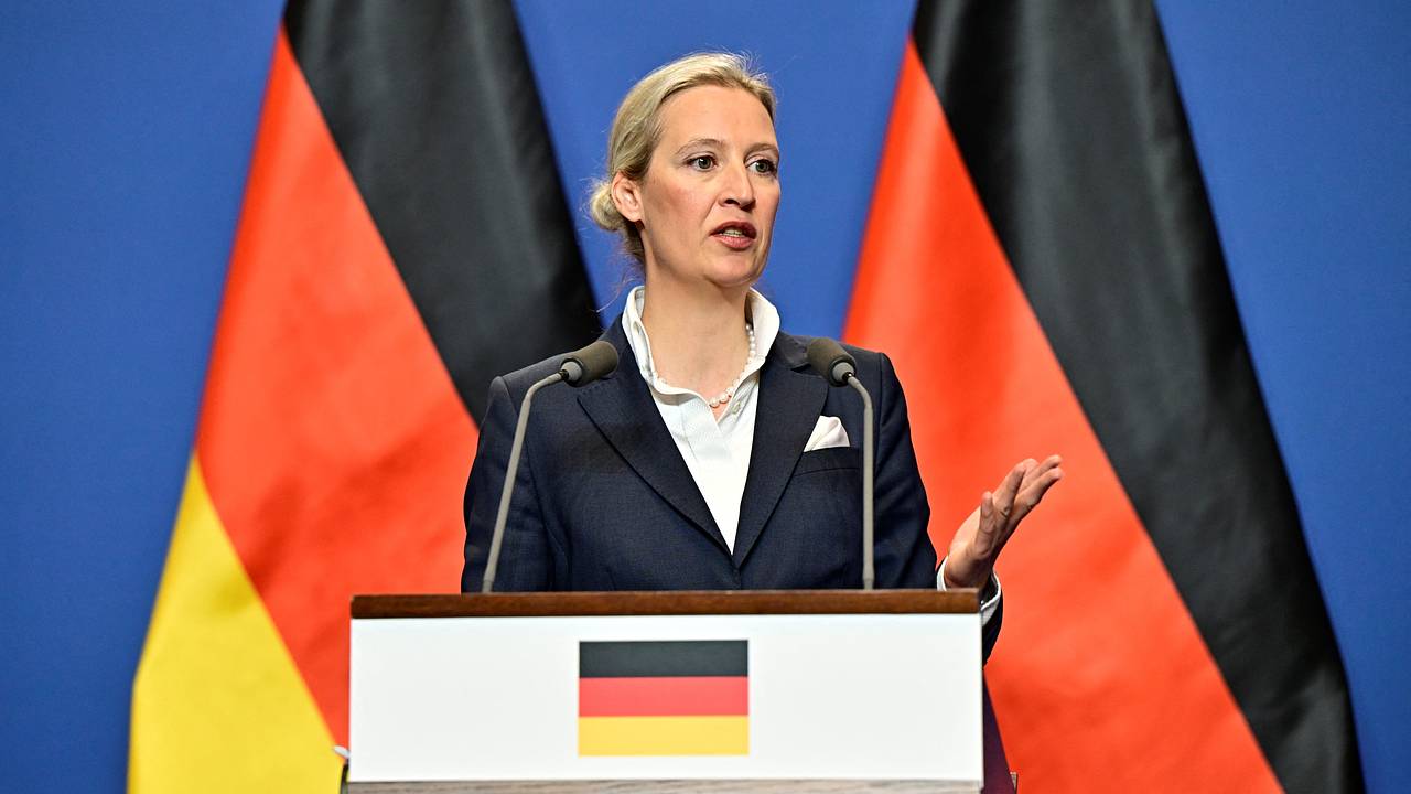 В Германии обвинили власти в эскалации отношений с Россией