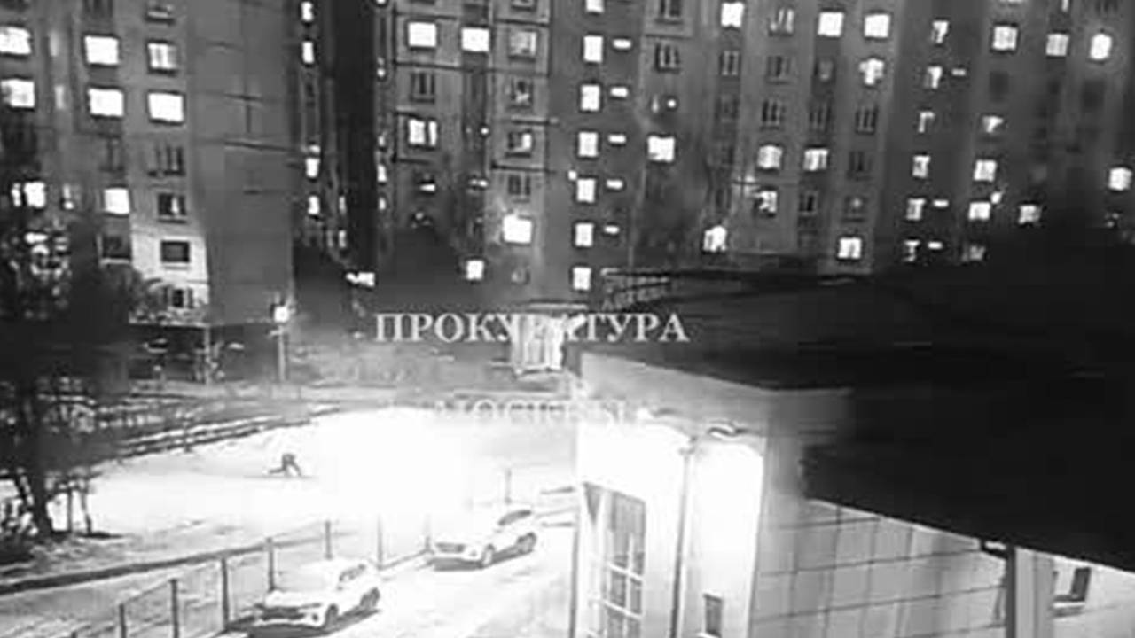 Россиянин выстрелил из сигнального пистолета в собачников и попал на видео