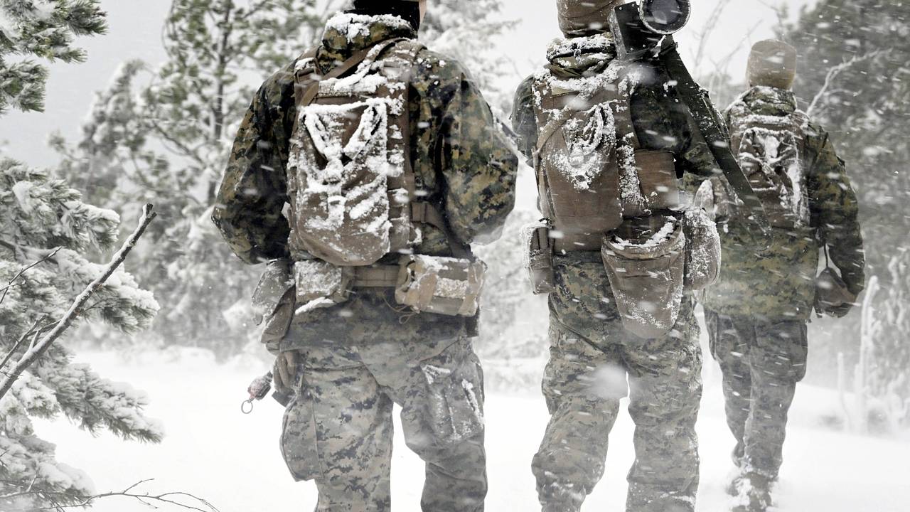 Финляндия оценила вероятность отправки своих миротворцев на Украину