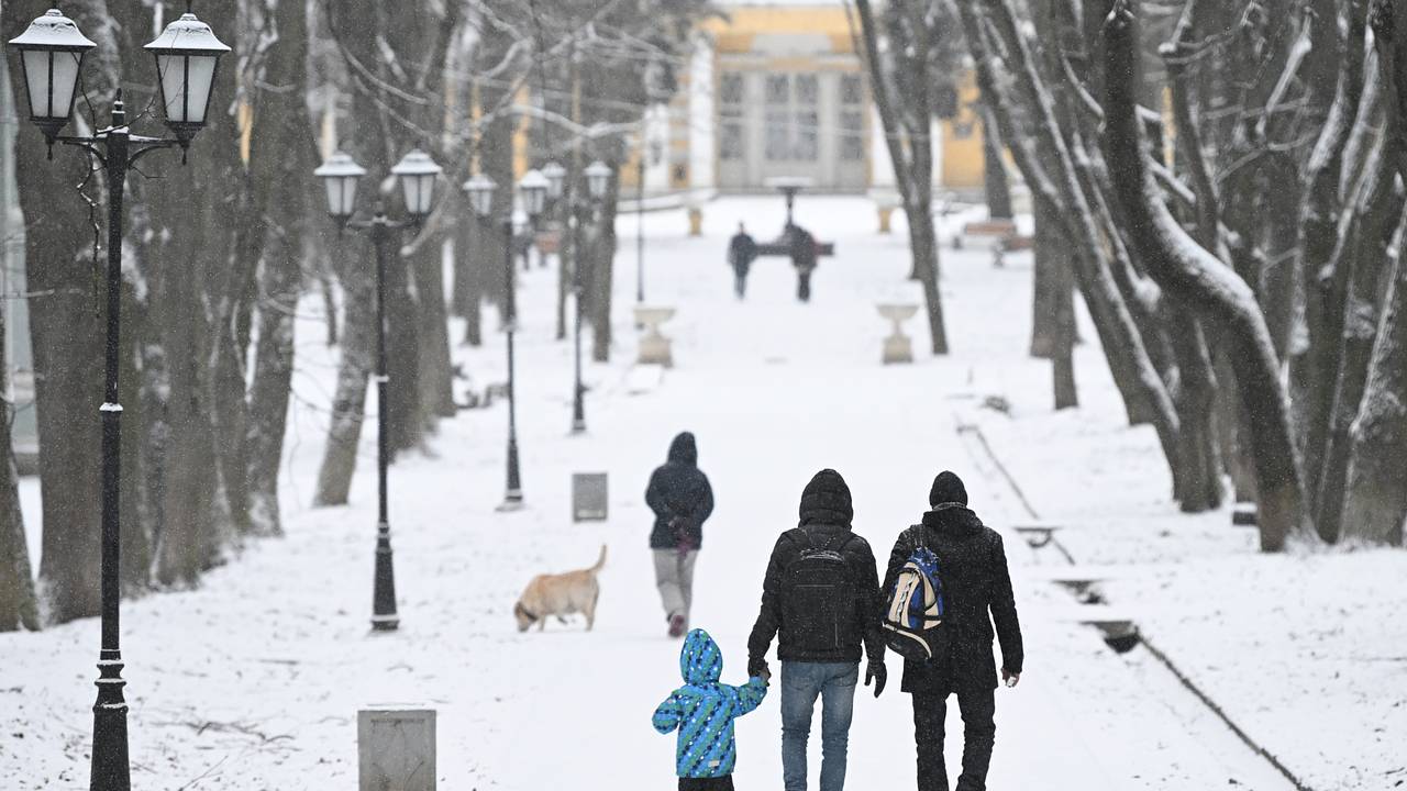 Москвичам предрекли холодное начало марта