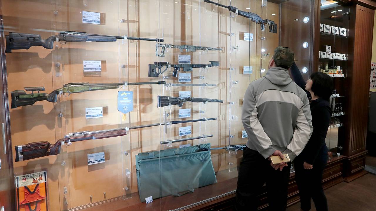 Комитет Госдумы отклонил идею ограничить оборот оружия для мигрантов