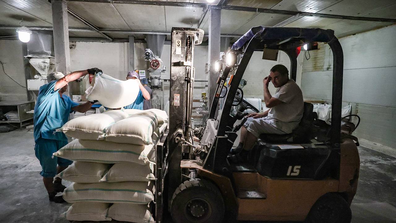 Власти опровергли сообщения о банкротстве мукомолов из-за нехватки льгот