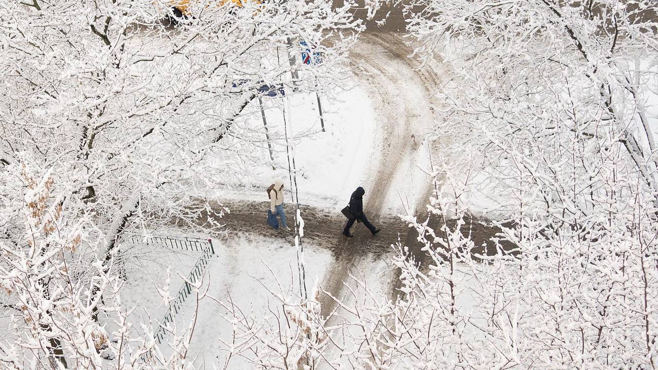 Москвичам назвали сроки окончания снегопадов