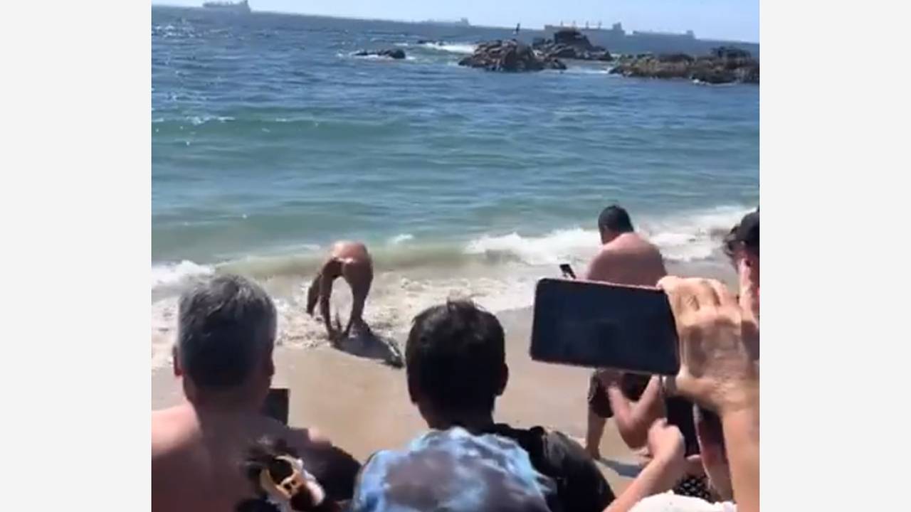 Купальщик спас вынесенную на пляж акулу и попал на видео