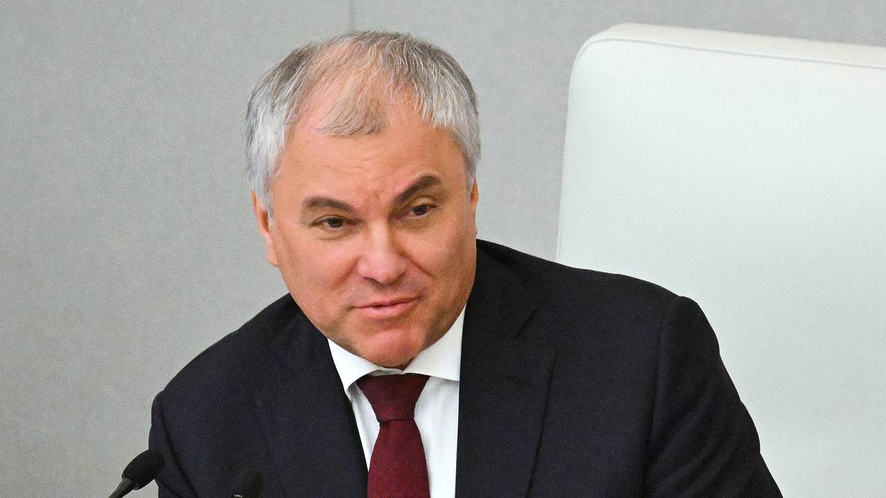 Володин анонсировал рассмотрение вопроса об онлайн-обучении медиков в России